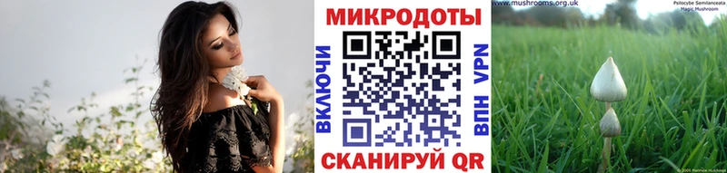 Псилоцибиновые грибы Psilocybine cubensis купить закладку МЕГА ССЫЛКА Гдов